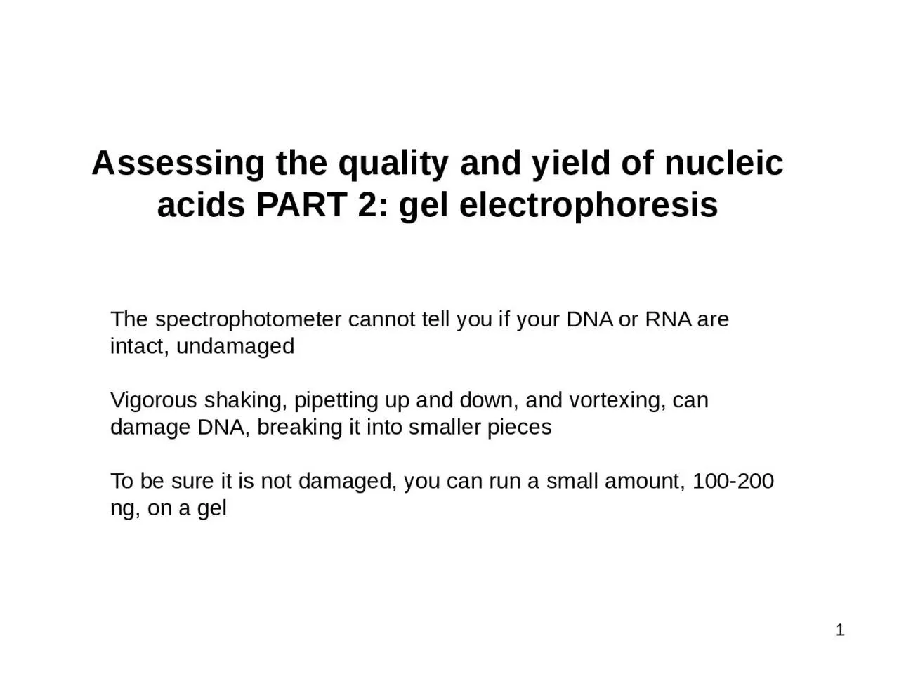 Assessing the quality and yield of nucleic acids PART 2: gel electrophoresis