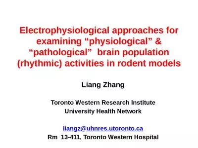 Electrophysiological  approaches for examining “