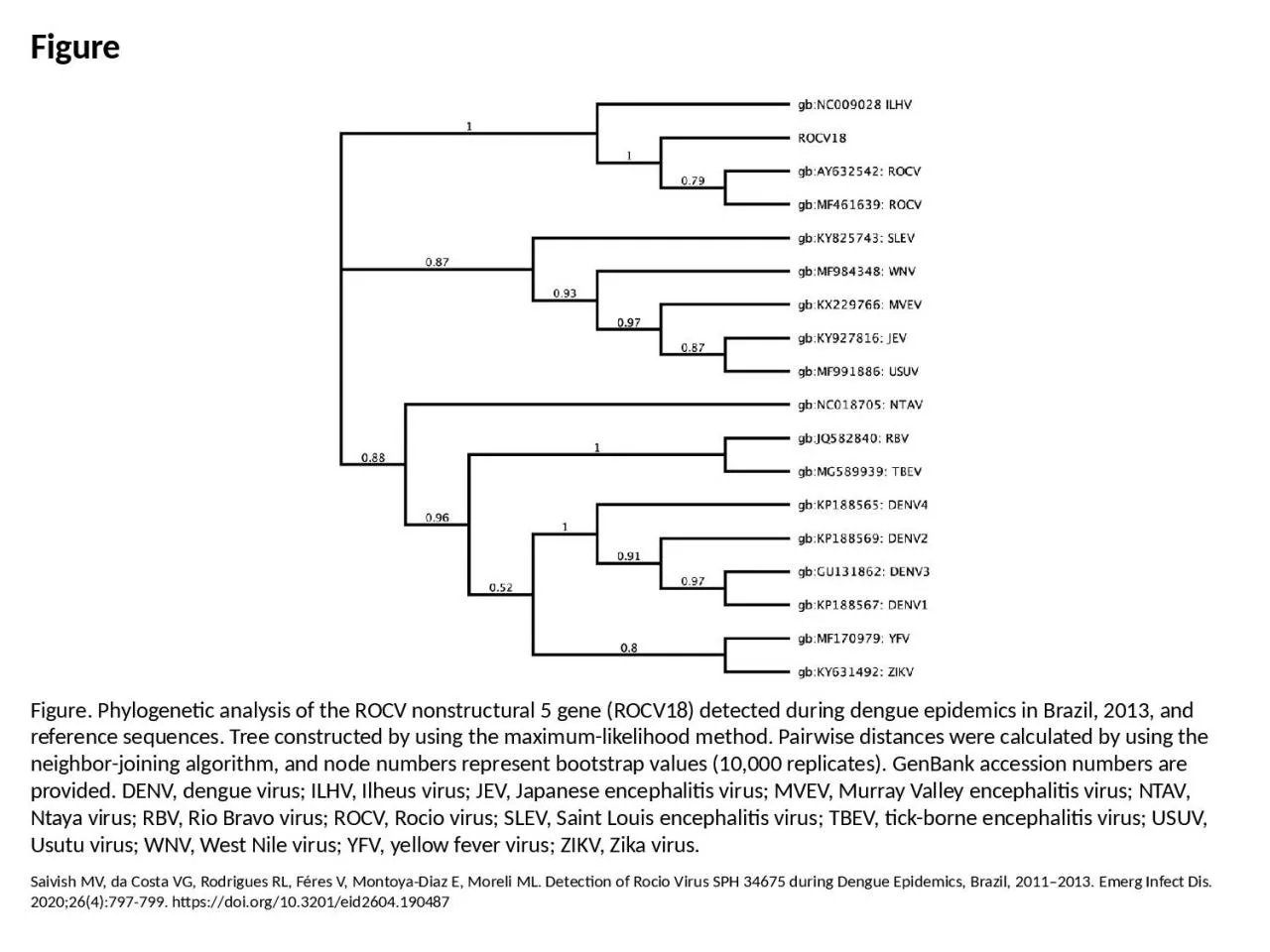 Figure Figure. Phylogenetic analysis of the ROCV nonstructural 5 gene (ROCV18) detected