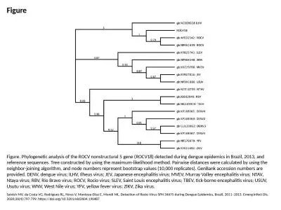 Figure Figure. Phylogenetic analysis of the ROCV nonstructural 5 gene (ROCV18) detected during deng