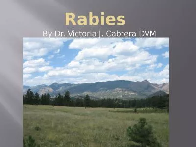 Rabies  By Dr. Victoria J. Cabrera DVM