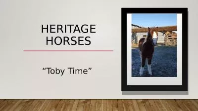 Heritage HorseS “Toby Time”