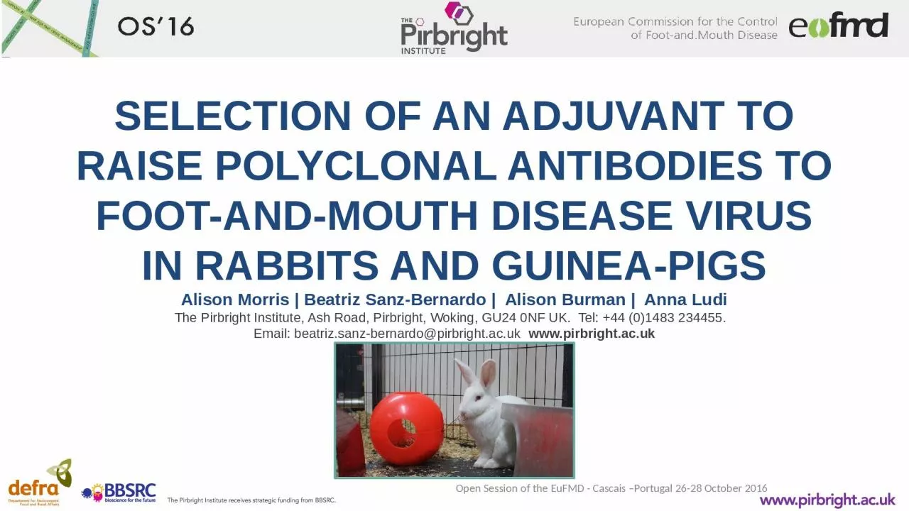 SELECTION OF AN ADJUVANT TO RAISE POLYCLONAL ANTIBODIES TO FOOT-AND-MOUTH DISEASE VIRUS