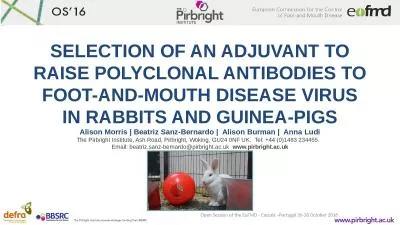 SELECTION OF AN ADJUVANT TO RAISE POLYCLONAL ANTIBODIES TO FOOT-AND-MOUTH DISEASE VIRUS IN RABBITS