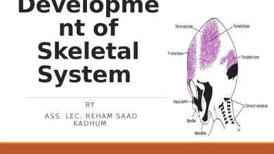 Development of Skeletal System