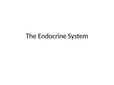 The Endocrine System What is the endocrine system?