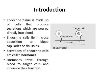Introduction Endocrine tissue is made up of cells that produce secretions which are poured