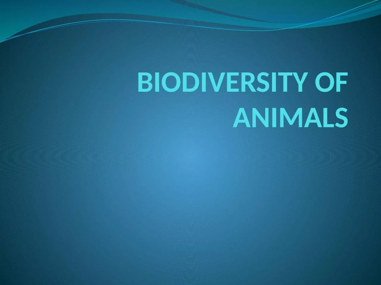 BIODIVERSITY OF ANIMALS What is a phylum?