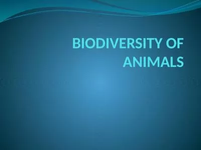BIODIVERSITY OF ANIMALS What is a phylum?