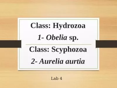Lab 4 Class: Hydrozoa 1-