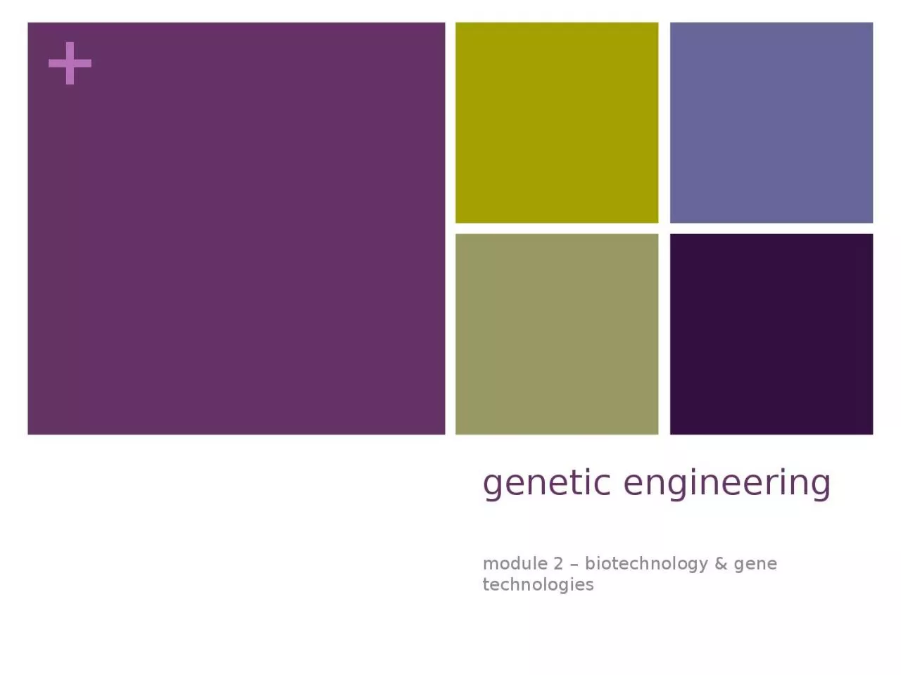 genetic engineering module 2 – biotechnology & gene technologies