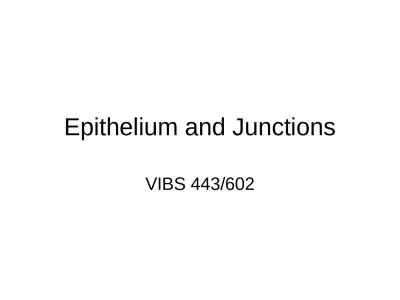 Epithelium and Junctions