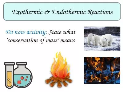 Exothermic & Endothermic Reactions
