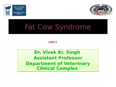 Fat Cow Syndrome Dr. Vivek Kr. Singh