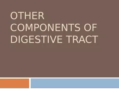 Other components of digestive tract