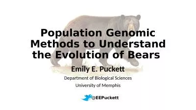 Population Genomic Methods to Understand the Evolution of Bears