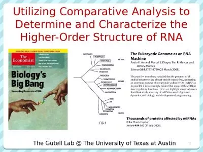 Utilizing Comparative Analysis to Determine and Characterize the Higher-Order Structure