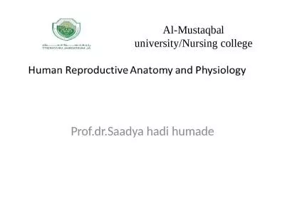 Al- Mustaqbal  university/Nursing college