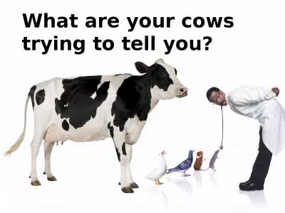 What are your cows trying to tell you?