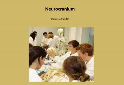 Neurocranium Dr. Károly Altdorfer