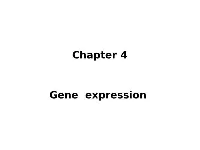 Chapter 4 	 Gene  expression