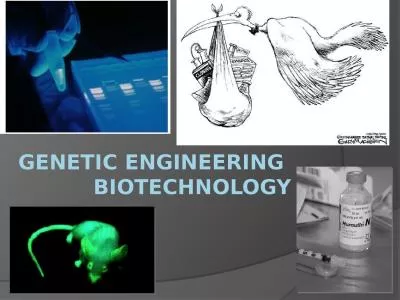 Genetic Engineering  Biotechnology