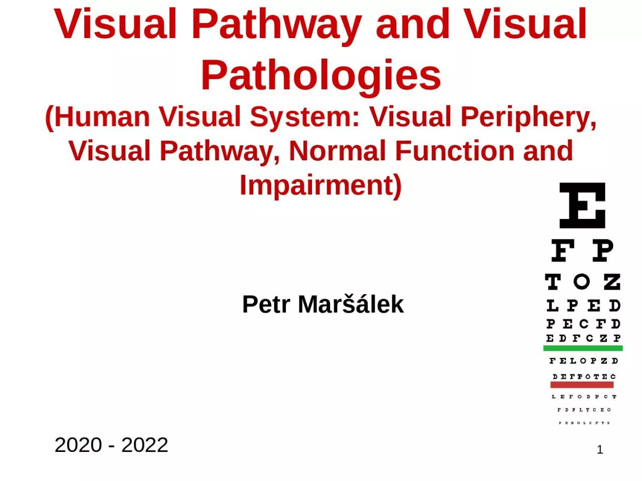 Visual Pathway and Visual Pathologies