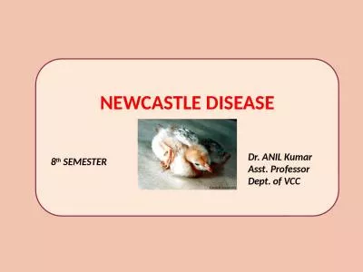 NEWCASTLE DISEASE 8 th  SEMESTER