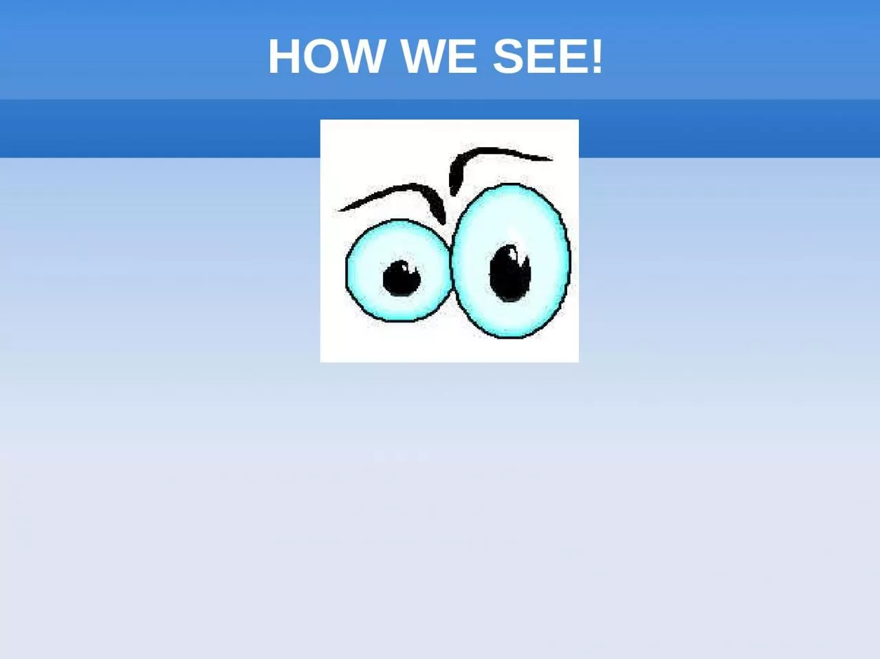HOW WE SEE! Eye Structure