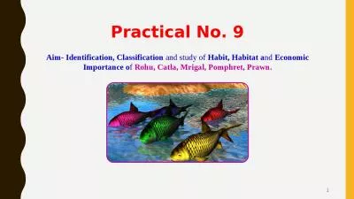 1 Practical No. 9 Aim-