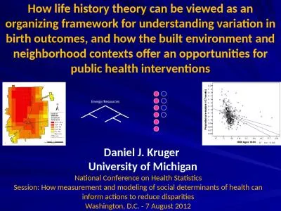 How life history theory can be viewed as an organizing framework for understanding variation in bir