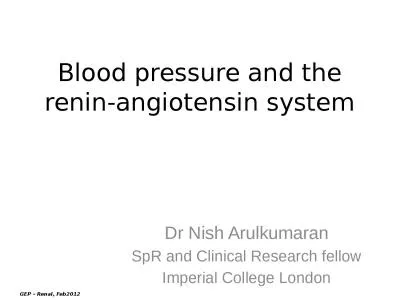 Blood pressure and the  renin-angiotensin