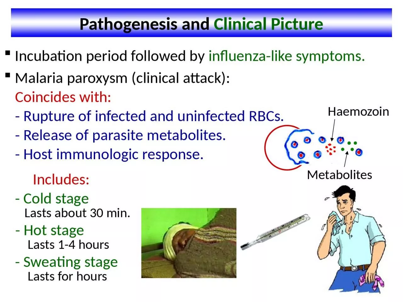 Pathogenesis and  Clinical Picture