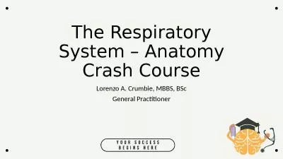 The Respiratory System – Anatomy Crash Course