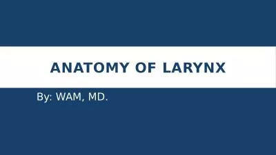 Anatomy of Larynx By: WAM, MD.