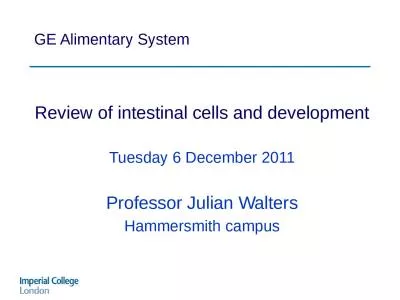 GE Alimentary  System Review of intestinal cells and development