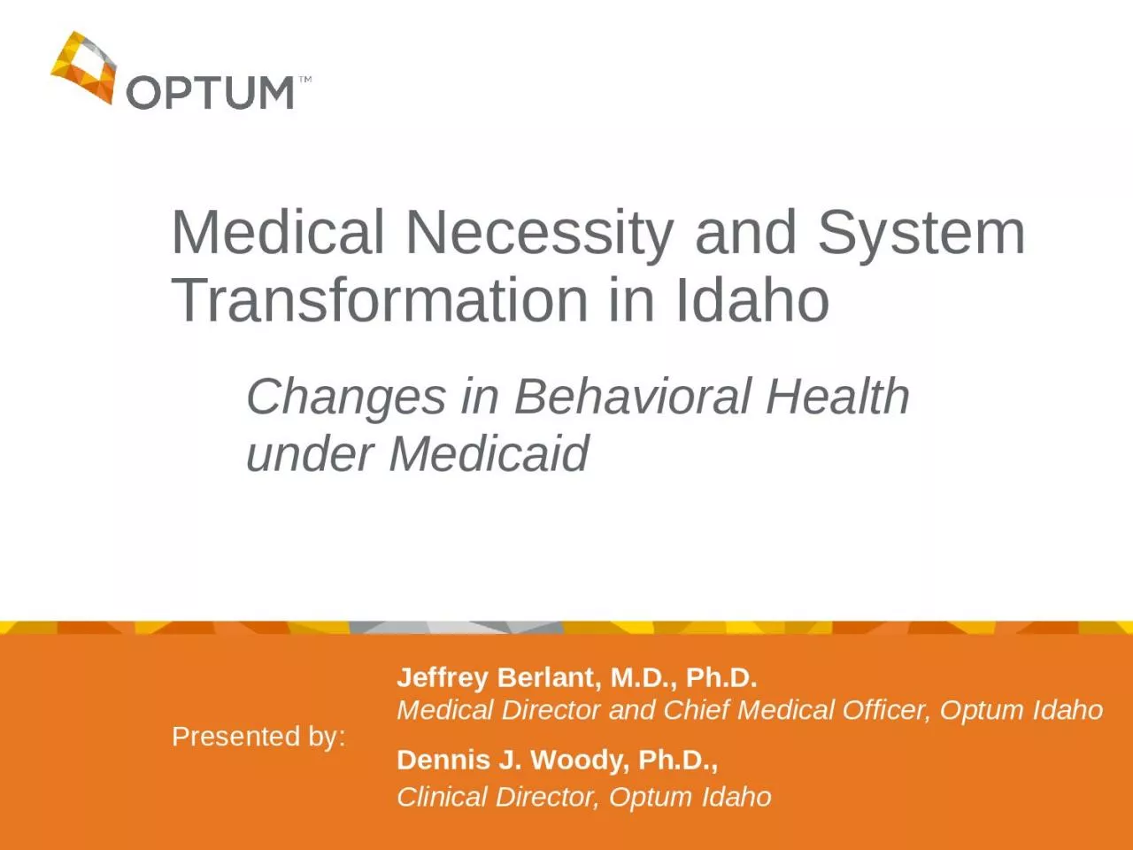 Medical Necessity and System Transformation in Idaho