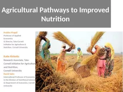 Agricultural Pathways to Improved