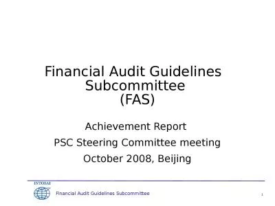 Financial Audit Guidelines   Subcommittee