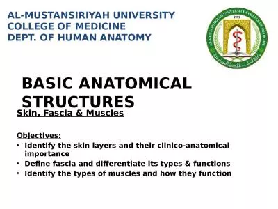 Basic anatomical structures