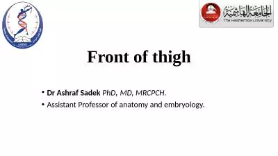 Front   of   thigh Dr  Ashraf