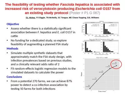 The feasibility of testing whether