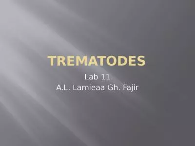 Trematodes Lab 11 A.L. Lamieaa