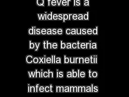 What is Q fever Q fever is a widespread disease caused by the bacteria Coxiella burnetii