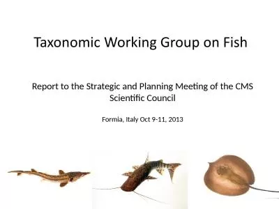 Report to the Strategic and Planning Meeting of the CMS Scientific Council