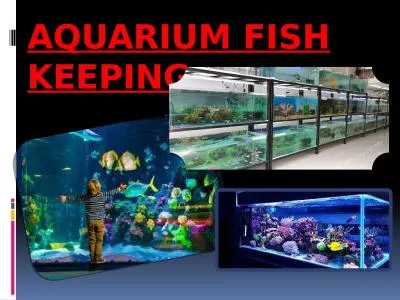 AQUARIUM FISH KEEPING An aquarium