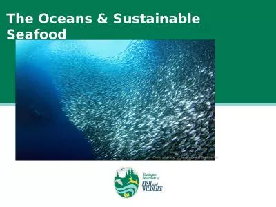 The Oceans & Sustainable Seafood