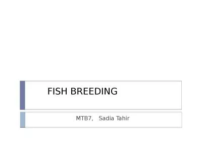 FISH BREEDING MTB7,    Sadia