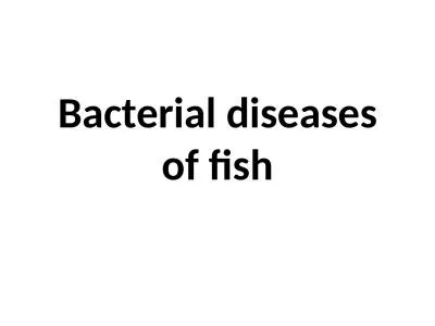 Bacterial diseases of fish