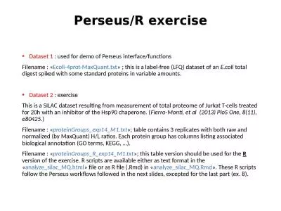 Perseus /R  exercise Dataset 1